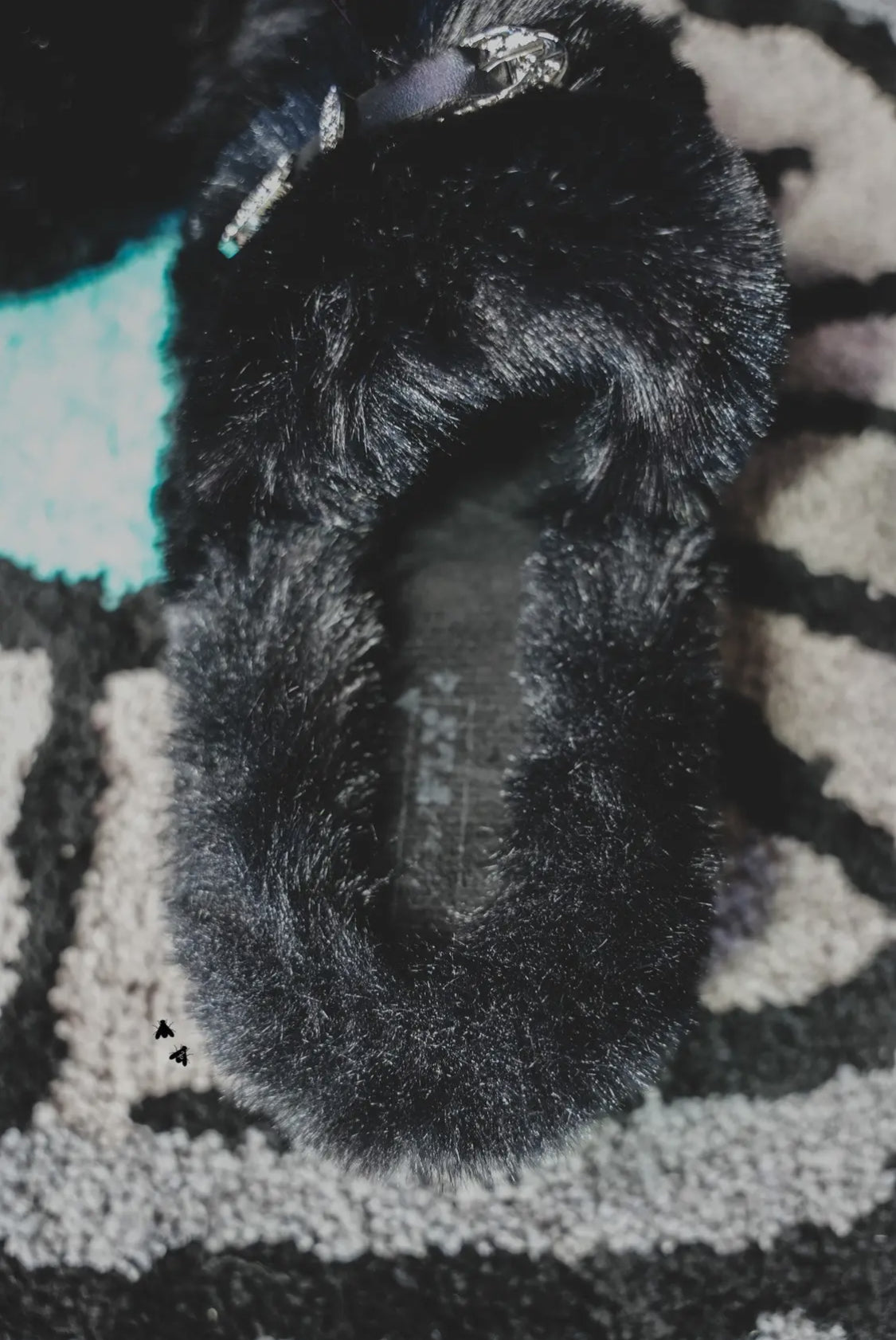 Home Buckles Sandles—Midnight