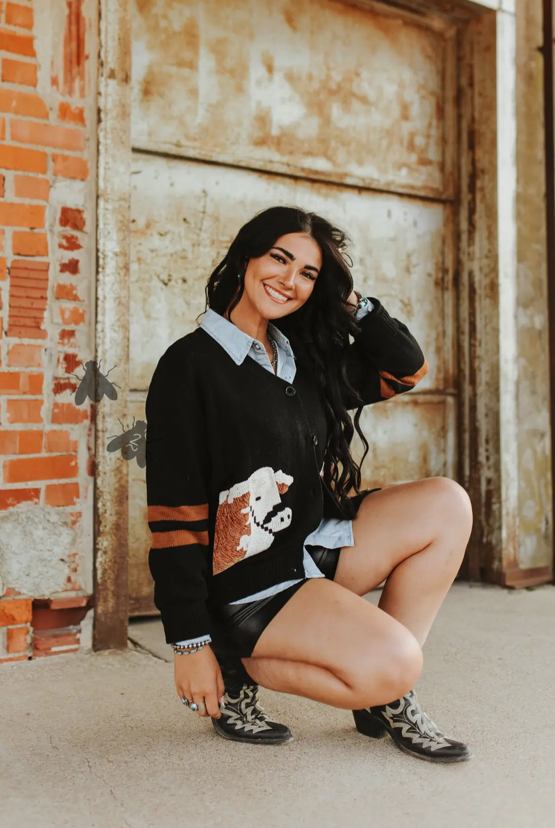 Cattle Cardi—Black Hereford