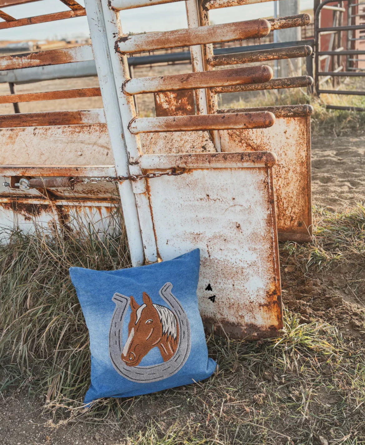 Denim Darlin’ Throw Pillow