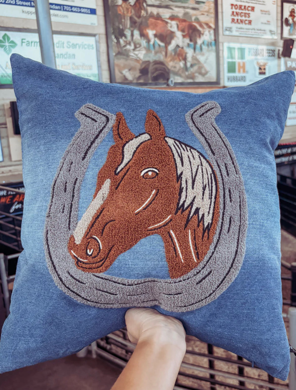 Denim Darlin’ Throw Pillow