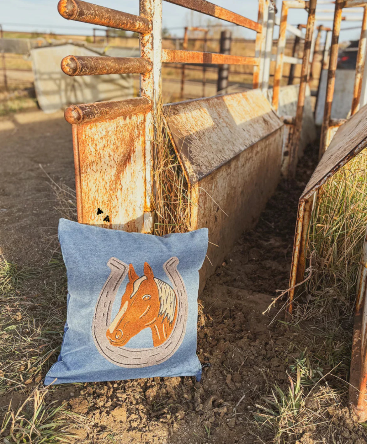 Denim Darlin’ Throw Pillow