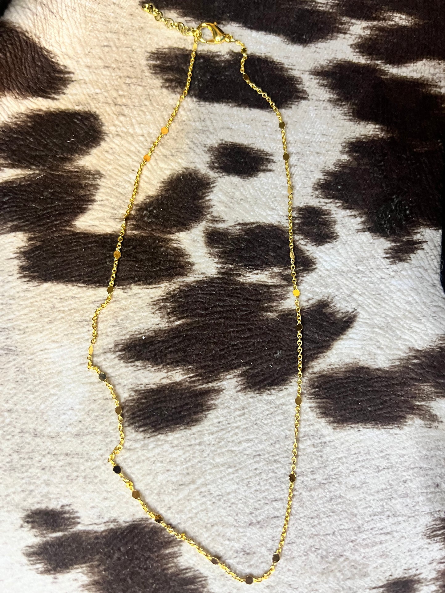 Dainty Gold Chain with Circles